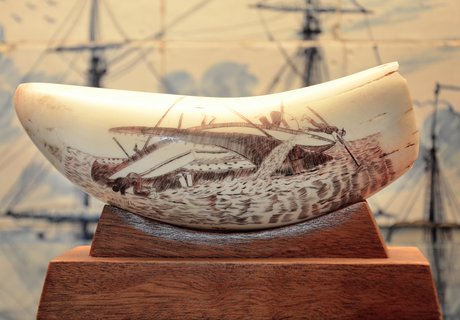 Im Vordergrund der Fotografie ist ein Walzahn zu sehen. Dieser ist auf einem hölzernen Sockel drapiert. Auf dem Zahn ist eine Walfangsszene gezeichnet. Sie zeigt, wie ein Wal ein Schiff im Maul hat und dieses durchbeißt. Ein Besatzungsmitglied fällt ins Wasser. Im Hintergrund der Fotografie ist ein Kachelbild zu sehen. Es ist in den Farben weiß und blau gehalten.