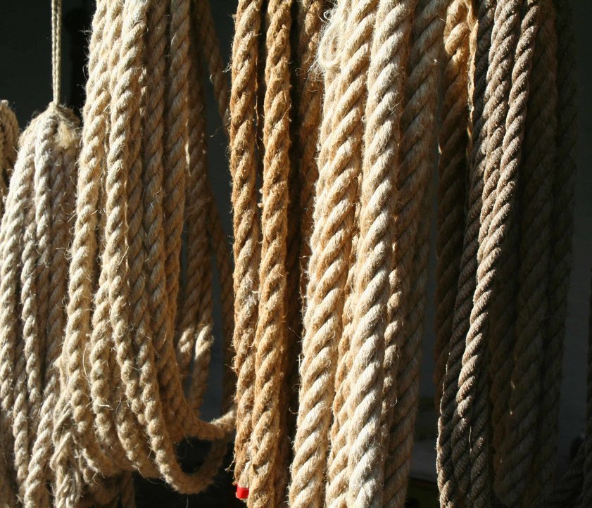 Tauwerk – fein zu Schlaufen gelegt – hängt von der Decke herunter. Die Seile unterscheiden sich leicht in ihrer Stärke und in ihrer Farbe. Die Farben reichen von dunkelbraun bis hin zu hellbeige. 